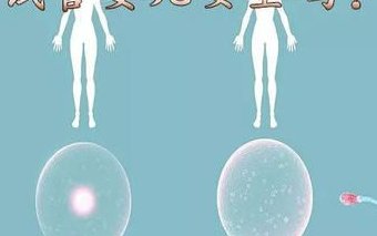 试管婴儿取的卵退化怎么办？