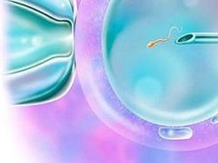 做了结扎手术可以在瑞金市试管医院做试管婴儿吗？费用是多少