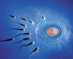 绍兴哪家医院试管婴儿技术较好？附上2026医院排名！