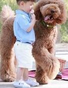 广州试管婴儿医院排名哪家好？附排名前五试管婴儿医院名单！