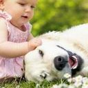 囊胚移植第7天早上测到灰印，晚上测到白板是什么意思？