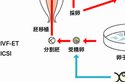 2025年广州三代试管婴儿费用大概多少，附收费标准大公开！​