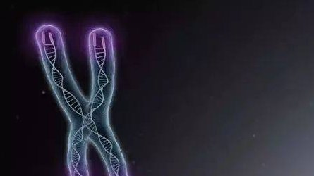 福州试管婴儿价格包含什么项目？